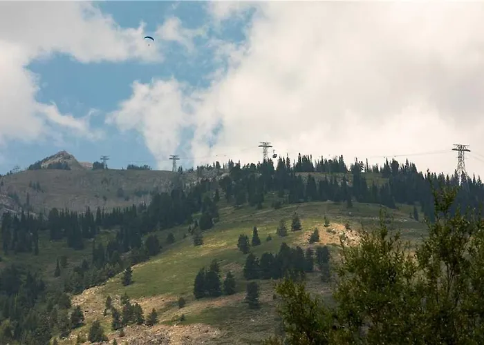 Rmr: Sleeping Indian West 4 In Teton Village